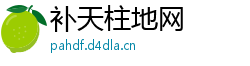 补天柱地网